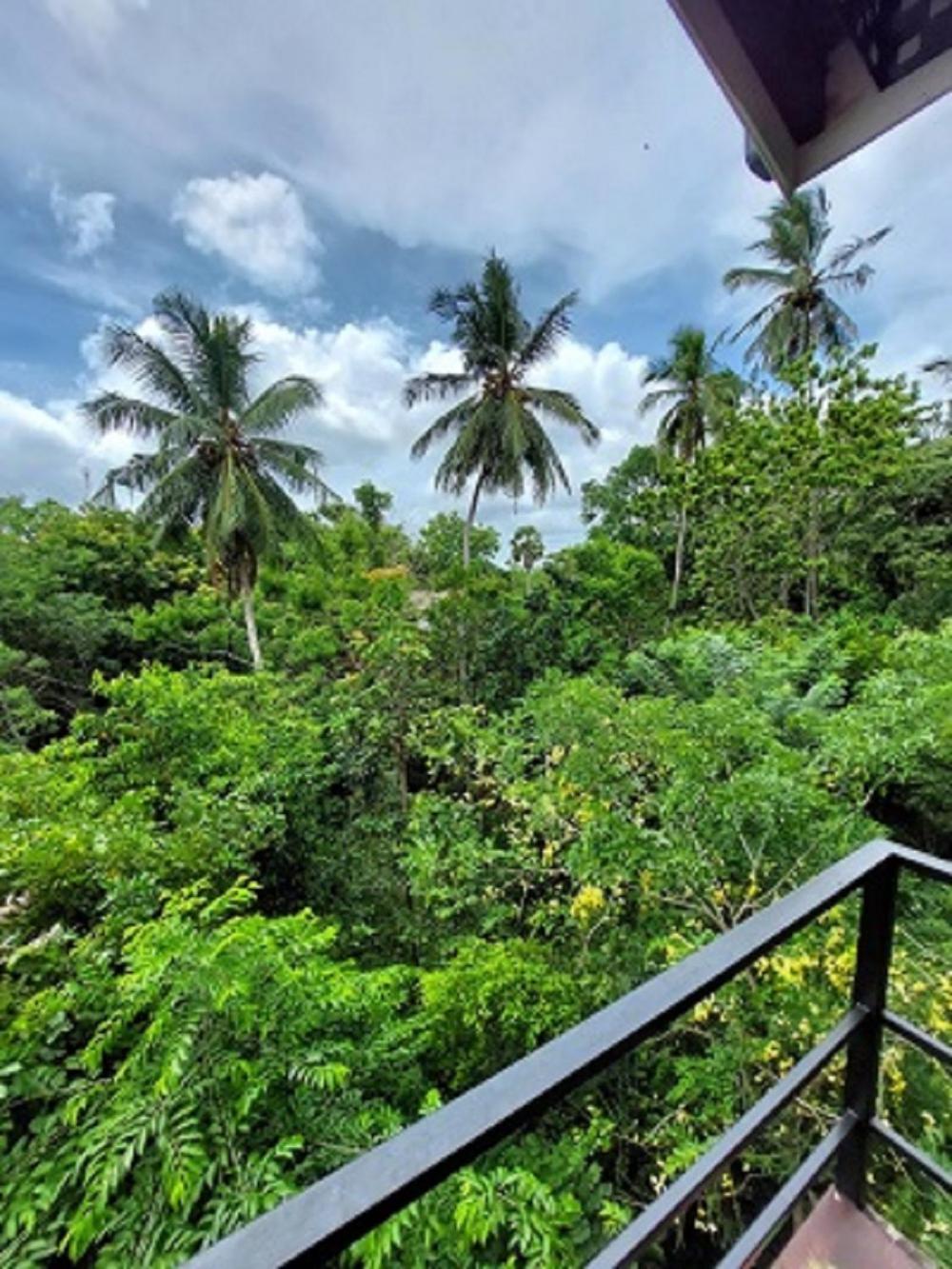 Wilpattu Tree House Bed & Breakfast Nochchiyagama Exterior photo