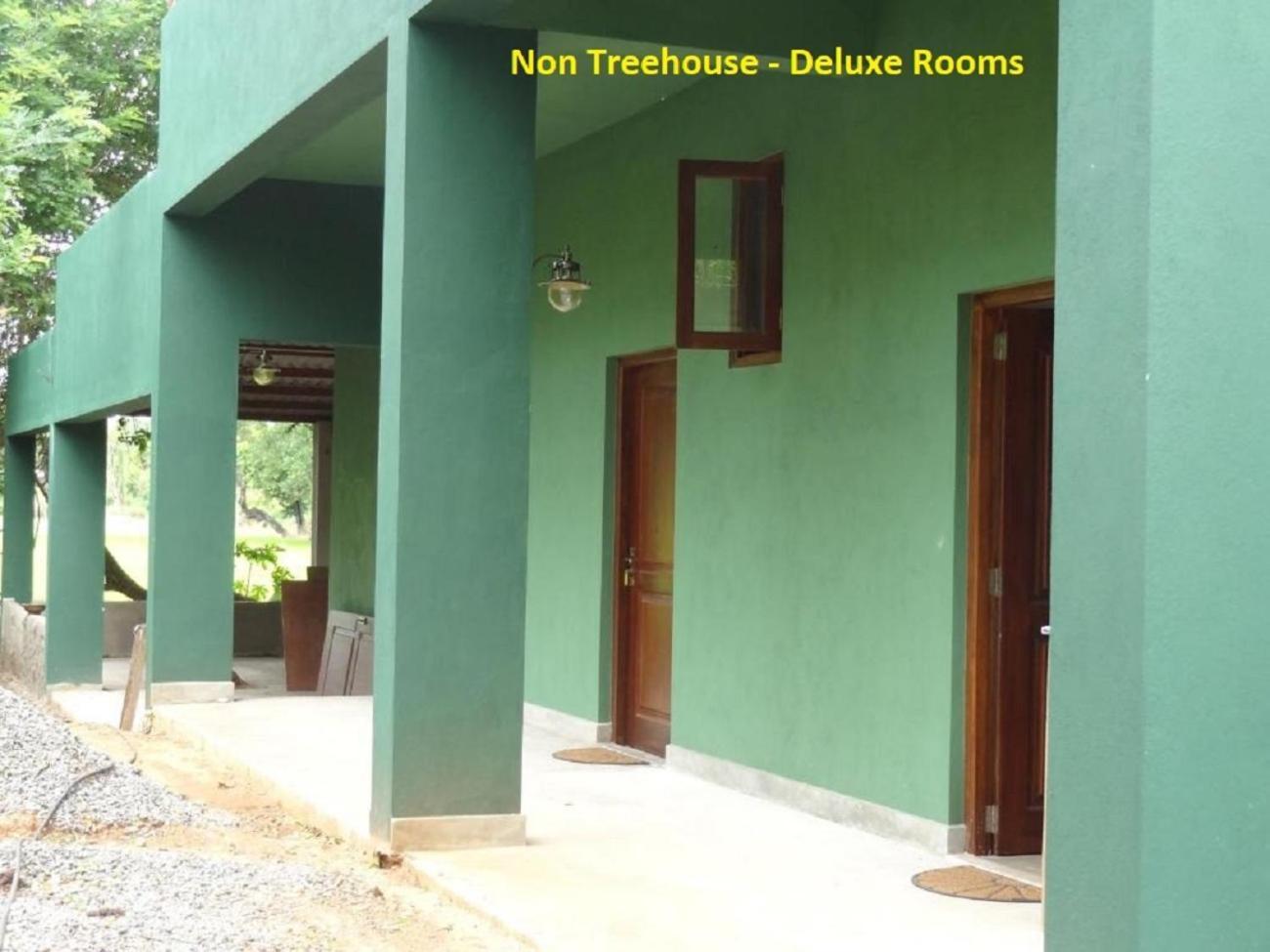 Wilpattu Tree House Bed & Breakfast Nochchiyagama Exterior photo