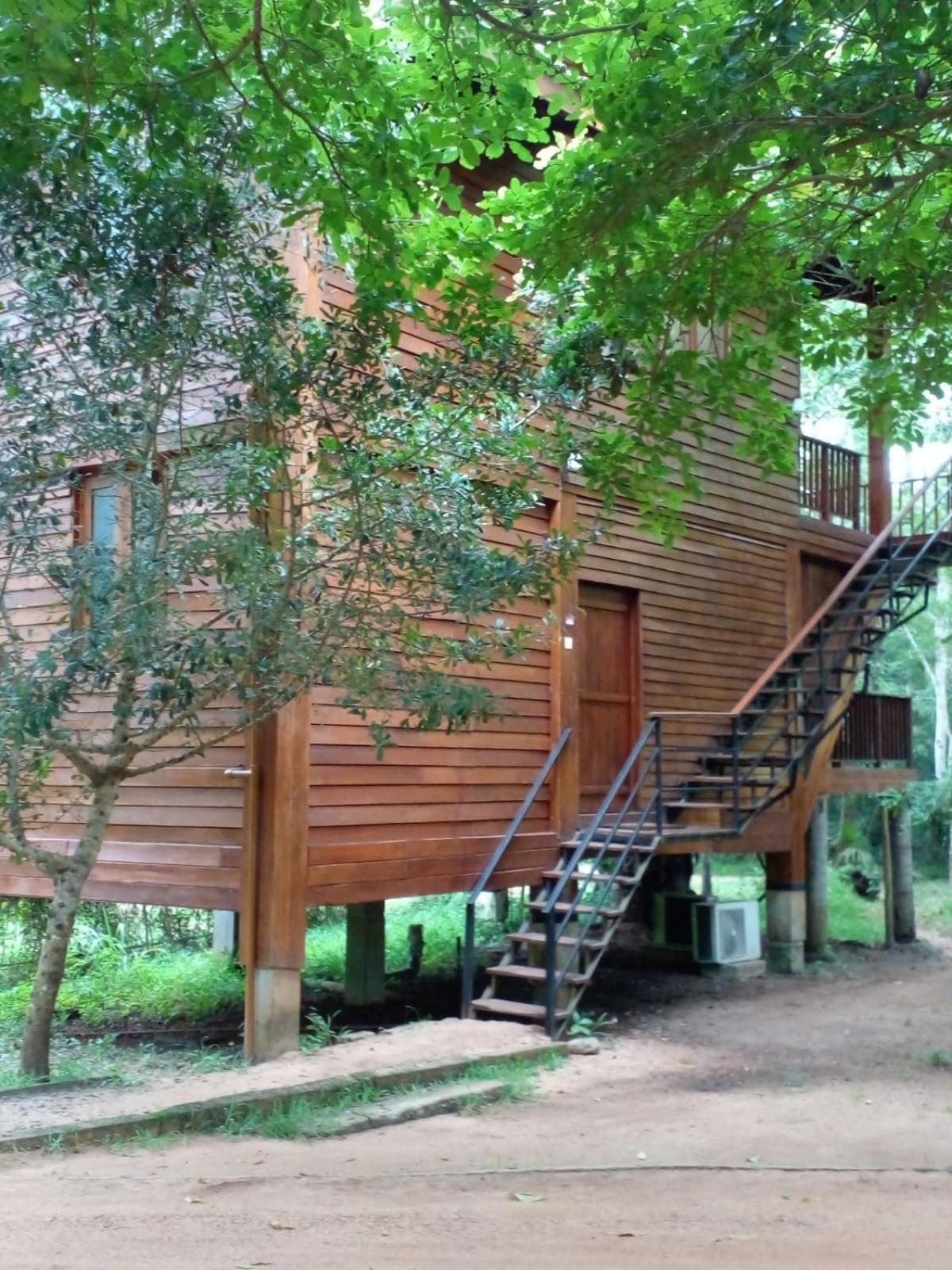 Wilpattu Tree House Bed & Breakfast Nochchiyagama Exterior photo