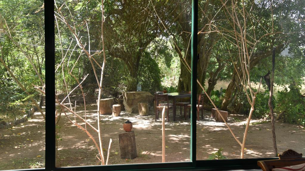 Wilpattu Tree House Bed & Breakfast Nochchiyagama Exterior photo