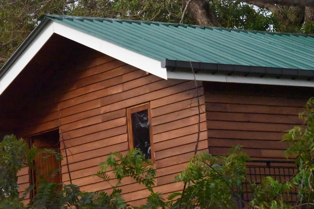 Wilpattu Tree House Bed & Breakfast Nochchiyagama Exterior photo